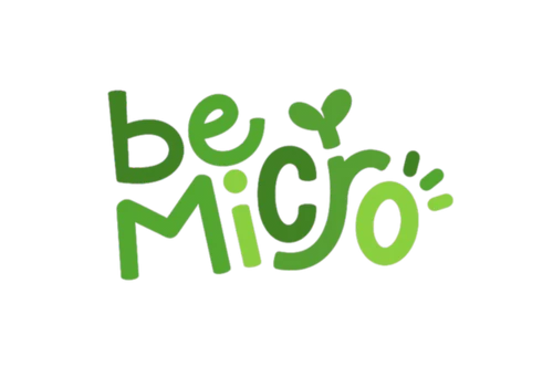 BeMicro