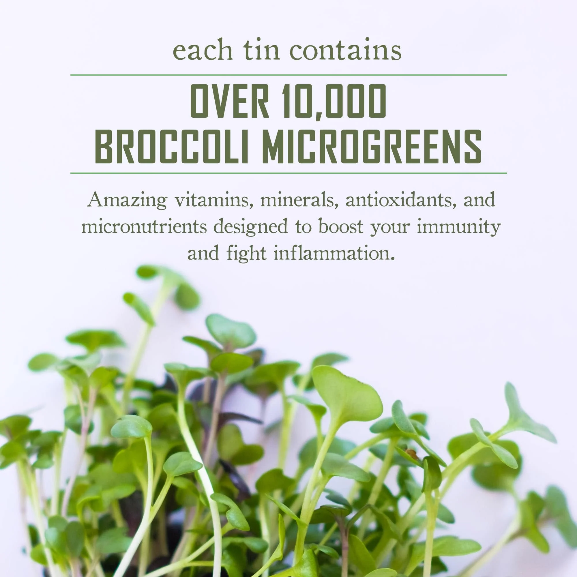 Broccoli Booster (Whole Leaf) - Image 7