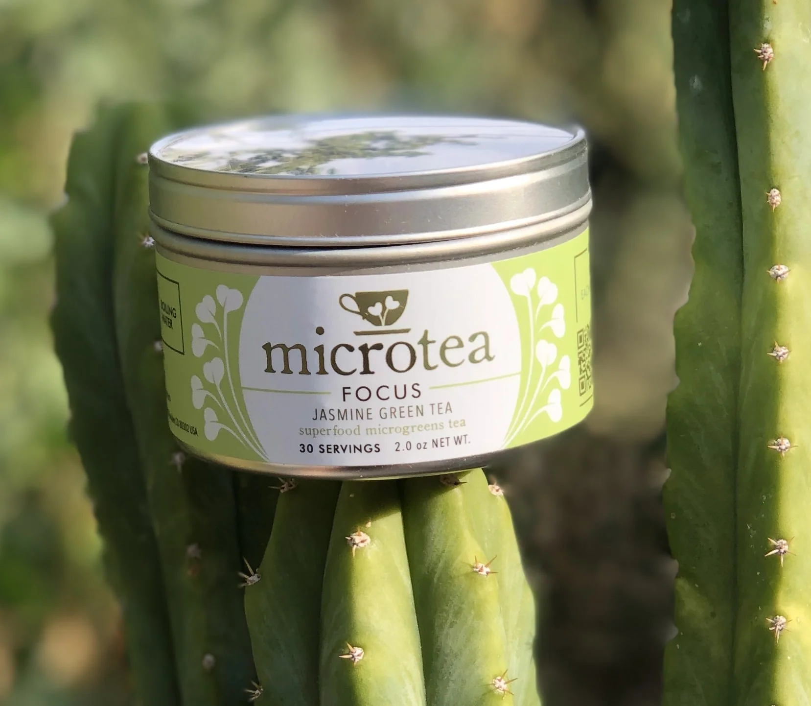 Focus - Green Tea (Lightly Caffeinated) - Image 3