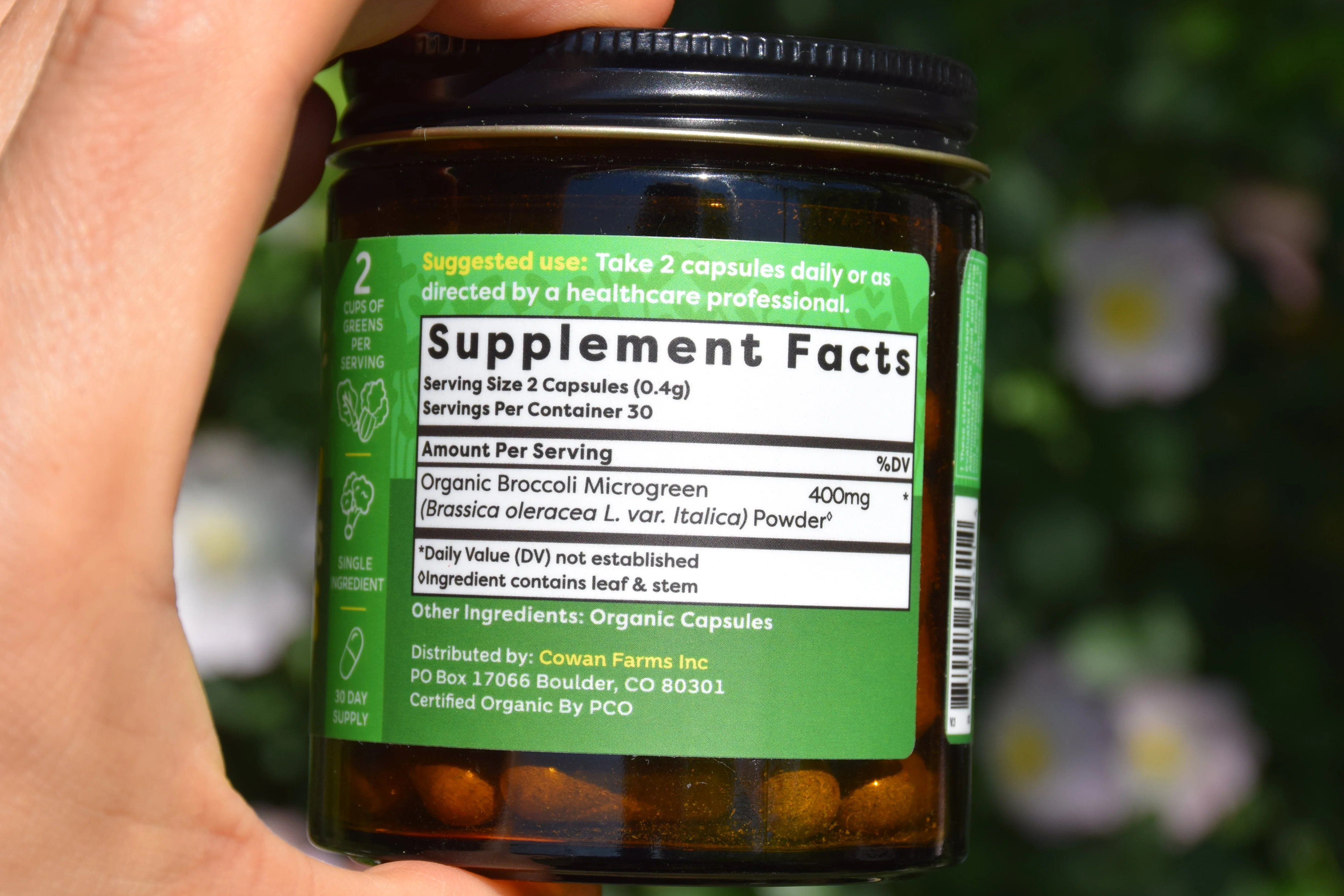 Organic Broccoli Microgreens Capsules - Image 3