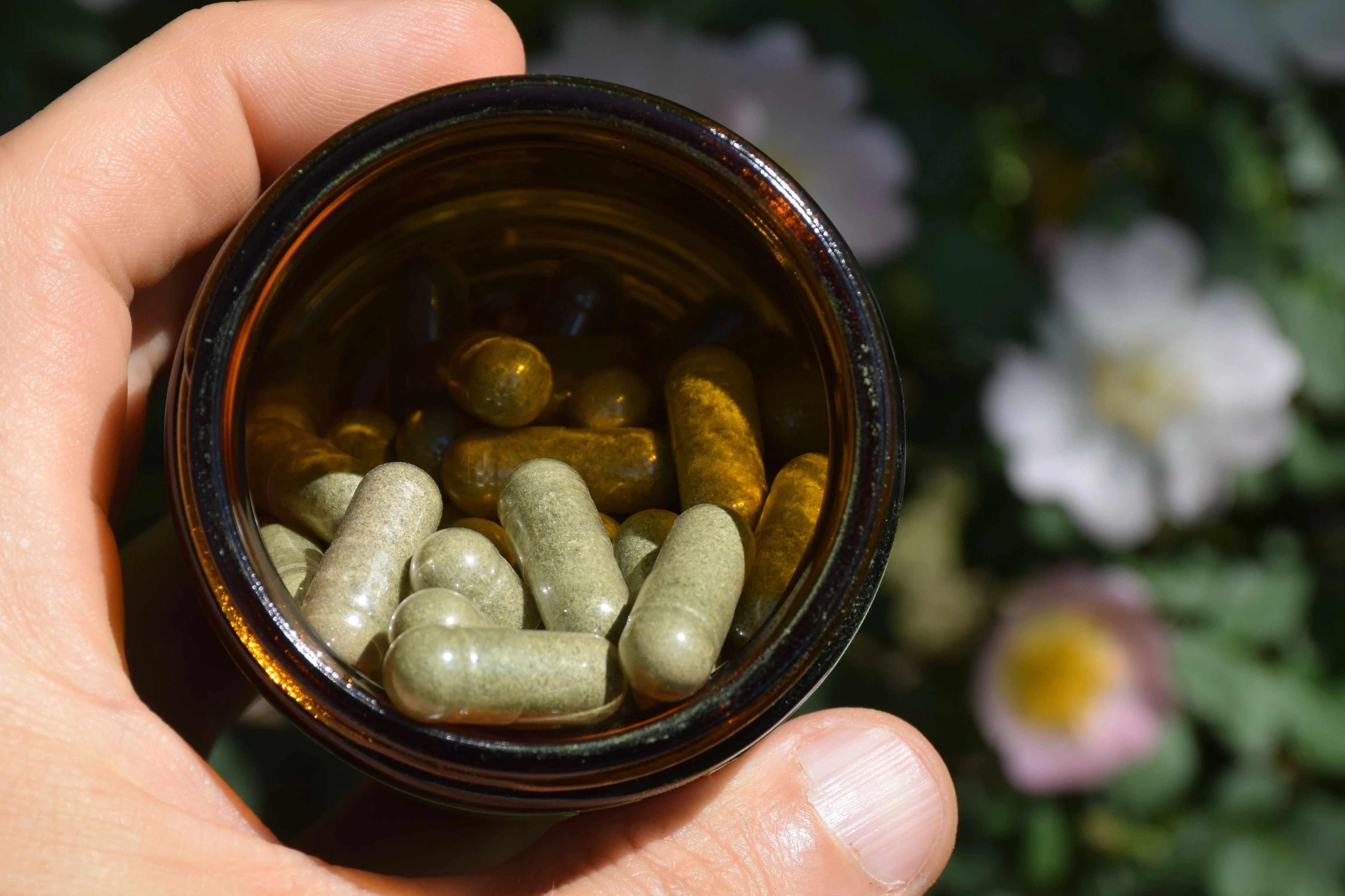 Organic Broccoli Microgreens Capsules - Image 4