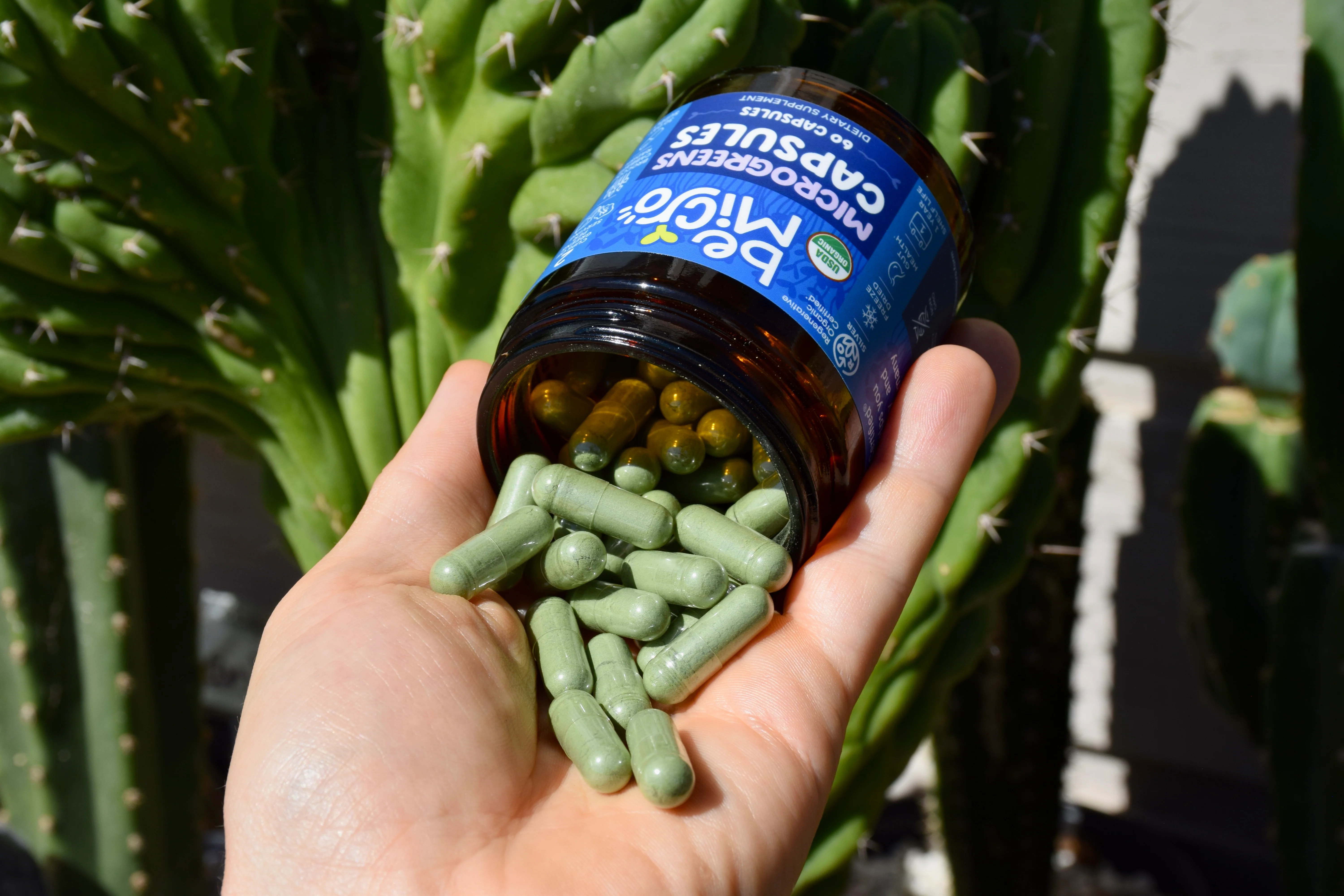 Organic Microgreens Capsules - Image 4