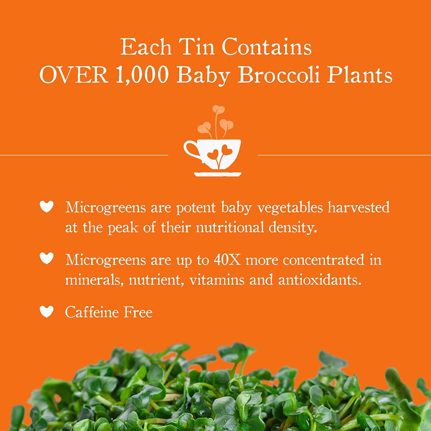 Recovery - Turmeric Tea (Caffeine Free) - Image 4